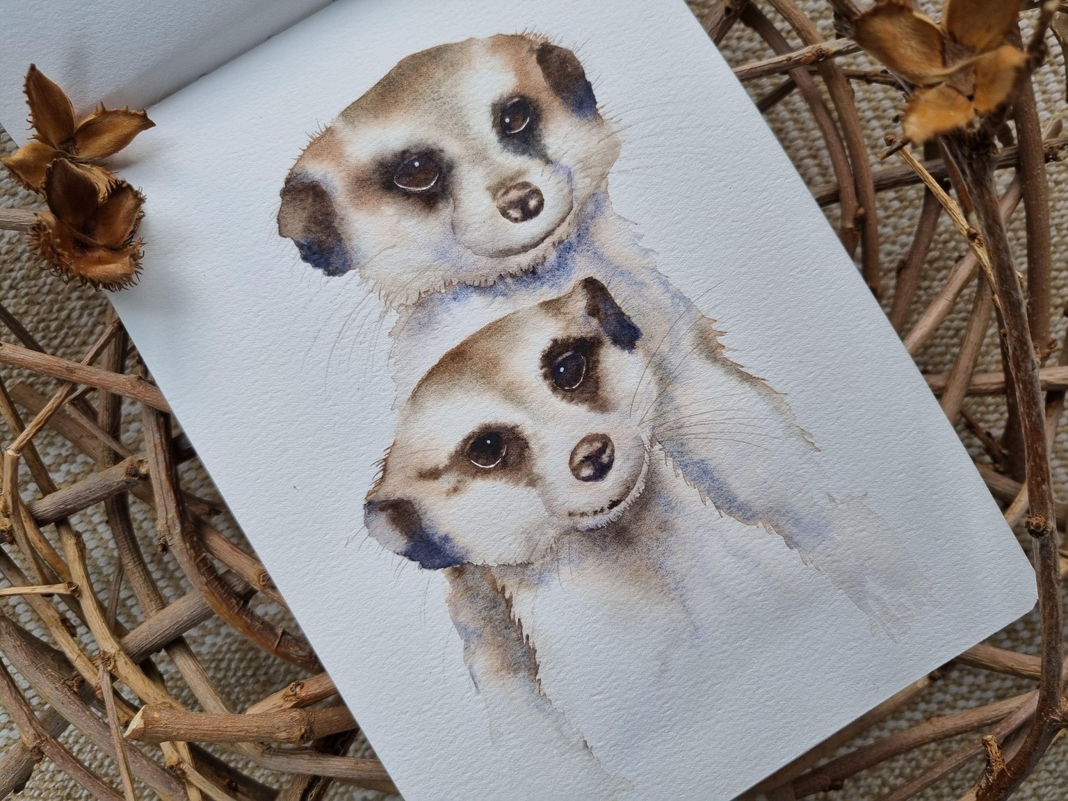 Erdmännchen - image 2 - student project