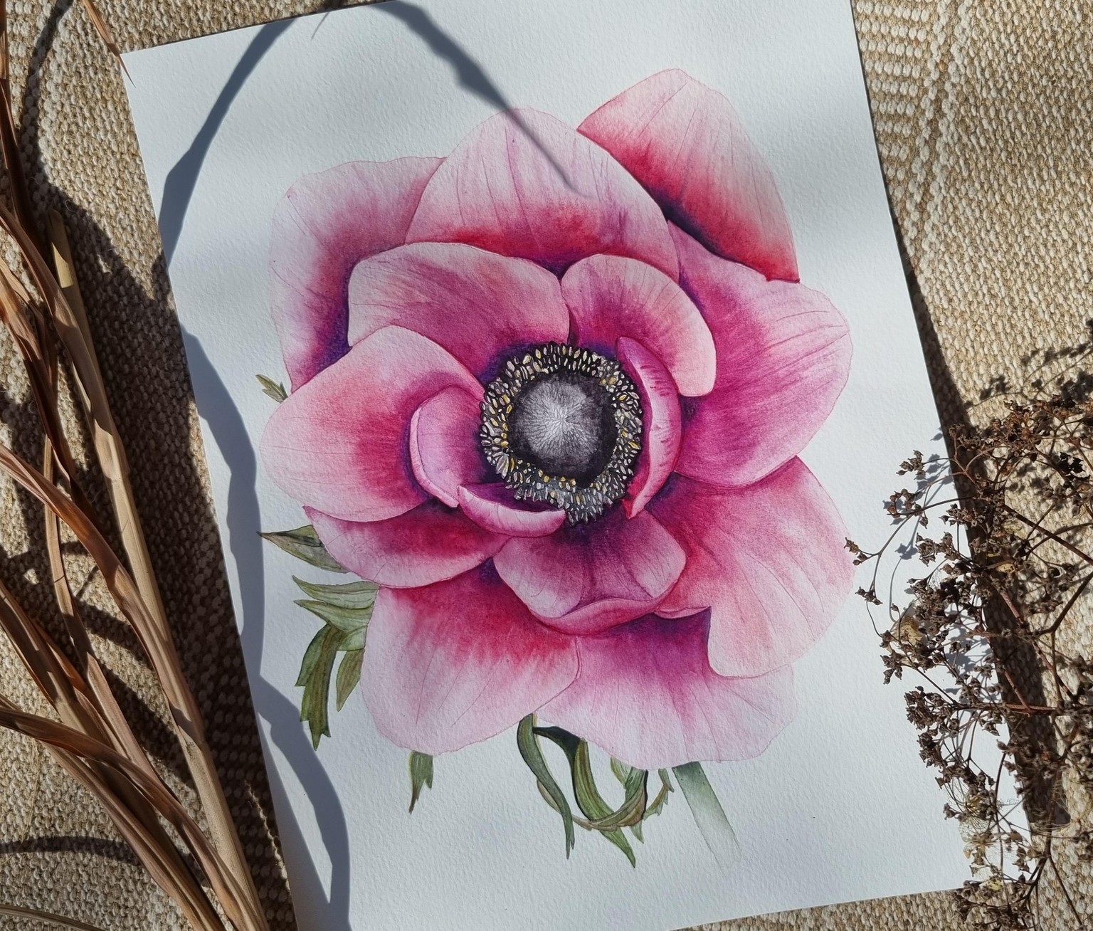 Anemone - image 2 - student project