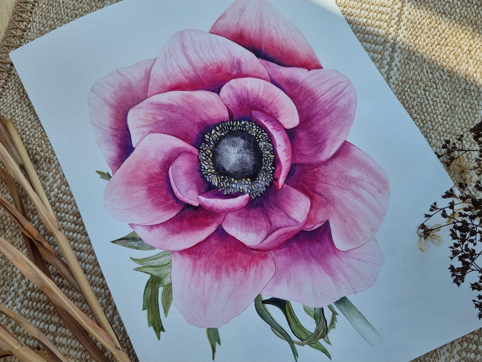 Anemone - image 4 - student project