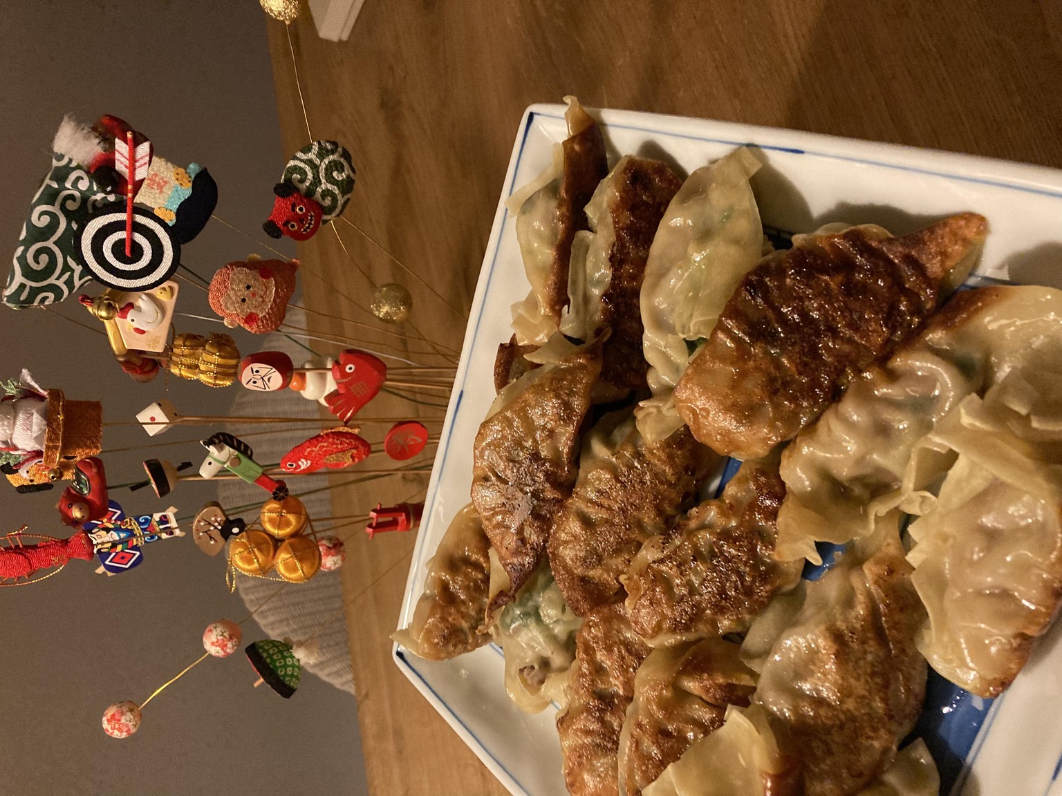 Gyoza - image 2 - student project