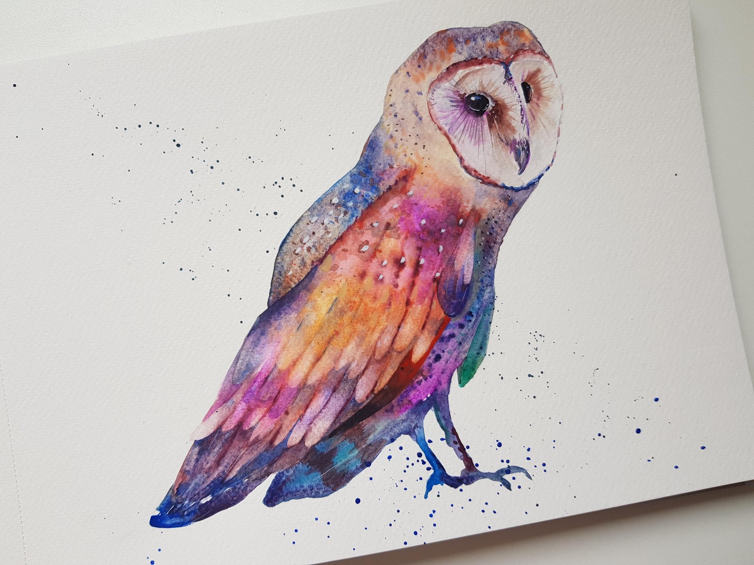 Rainbow Owl - image 2 - student project