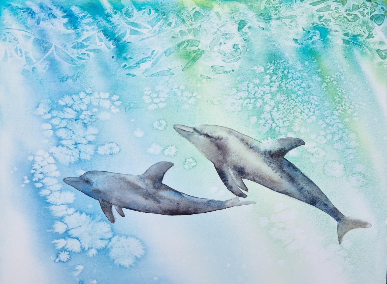 Dolphins - image 2 - student project