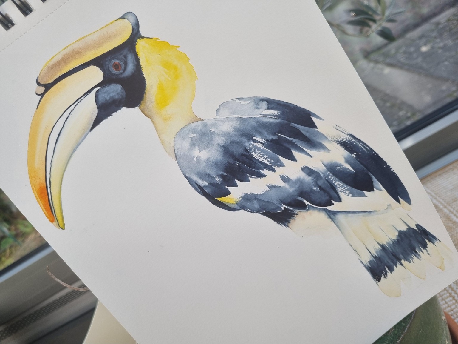 Hornbill - image 3 - student project