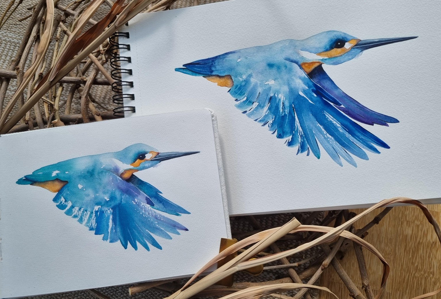 Eisvogel - image 2 - student project