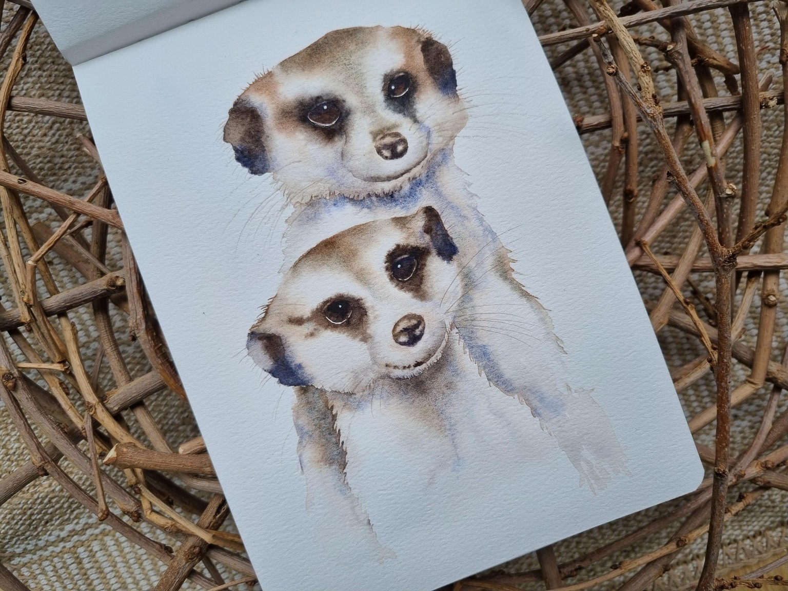 Erdmännchen - image 1 - student project