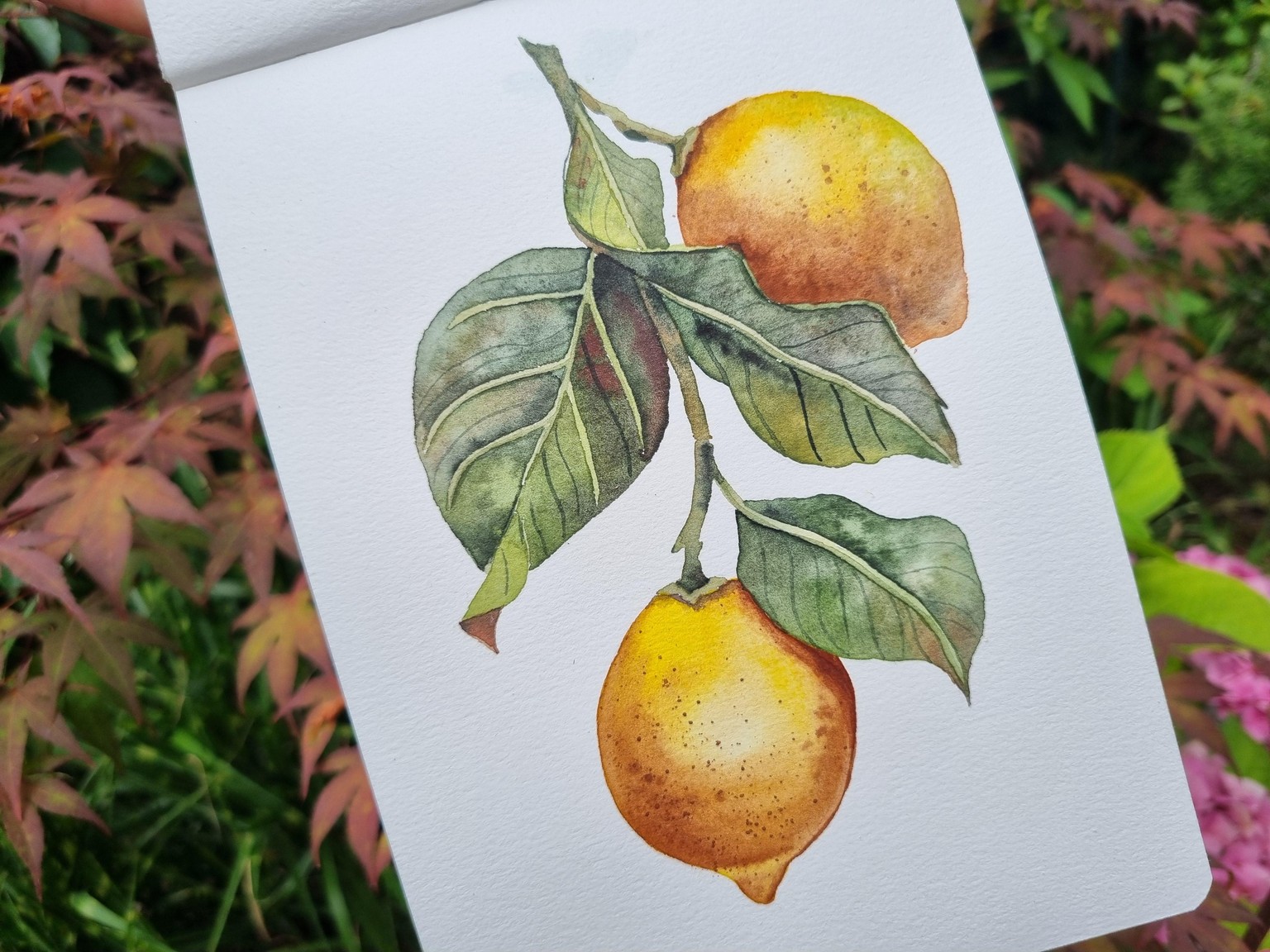 Vintage Lemons - image 2 - student project