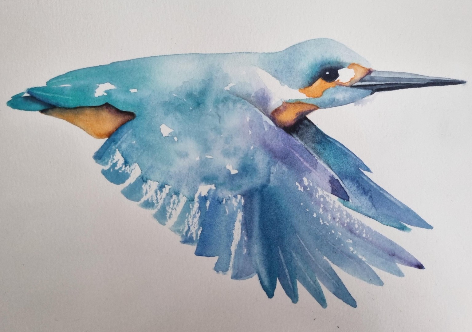 Eisvogel - image 4 - student project