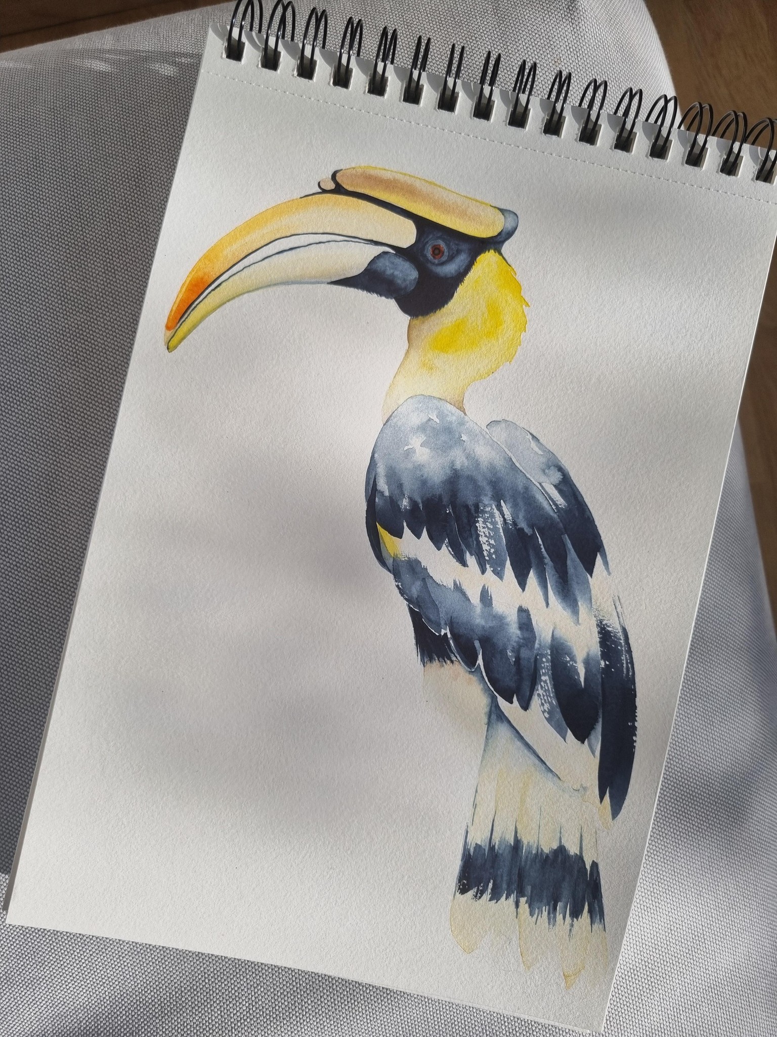 Hornbill - image 1 - student project