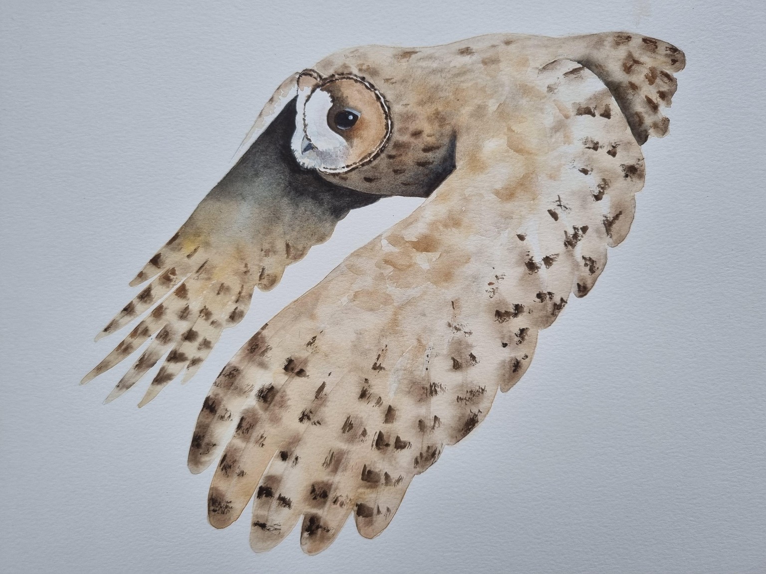 Fliegende Eule - image 3 - student project