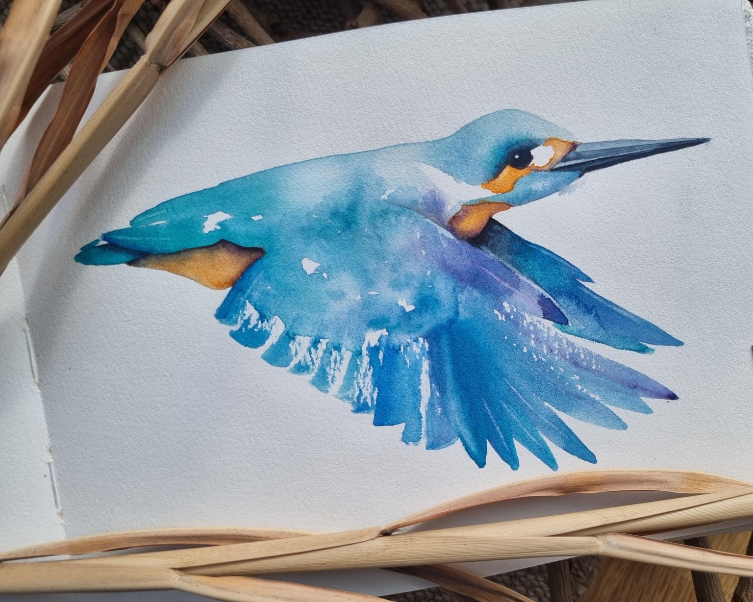 Eisvogel - image 1 - student project
