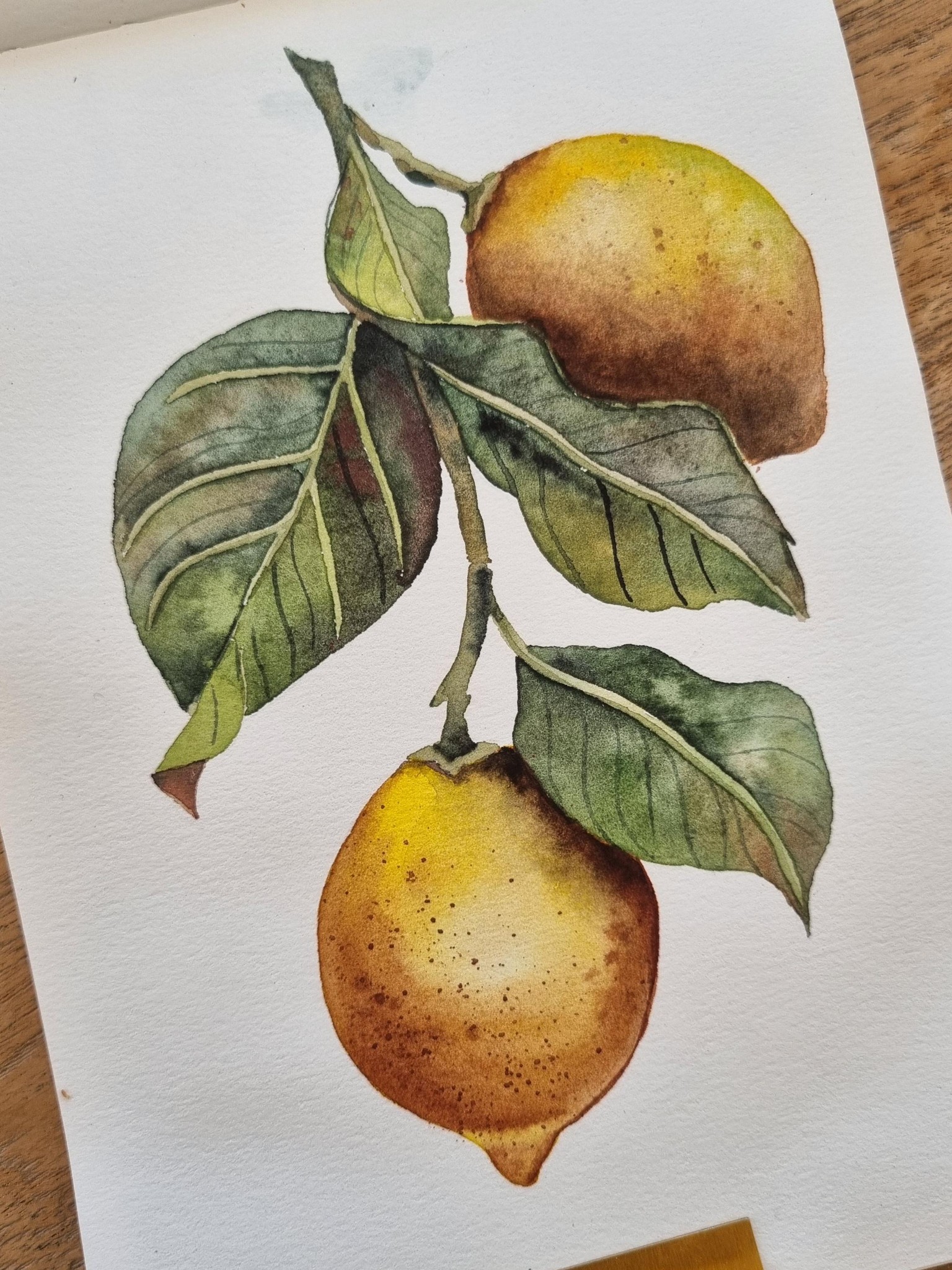 Vintage Lemons - image 4 - student project