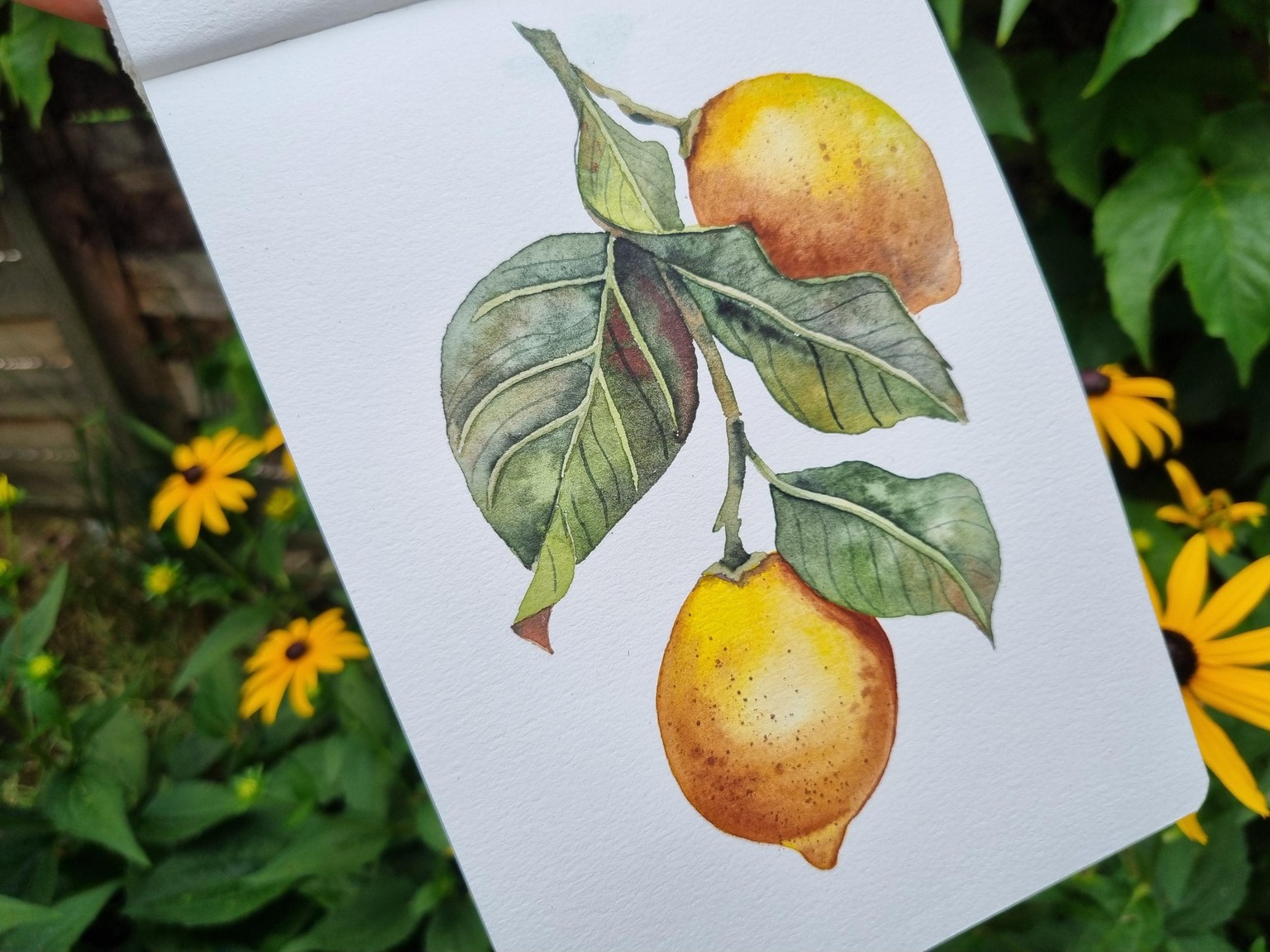Vintage Lemons - image 1 - student project