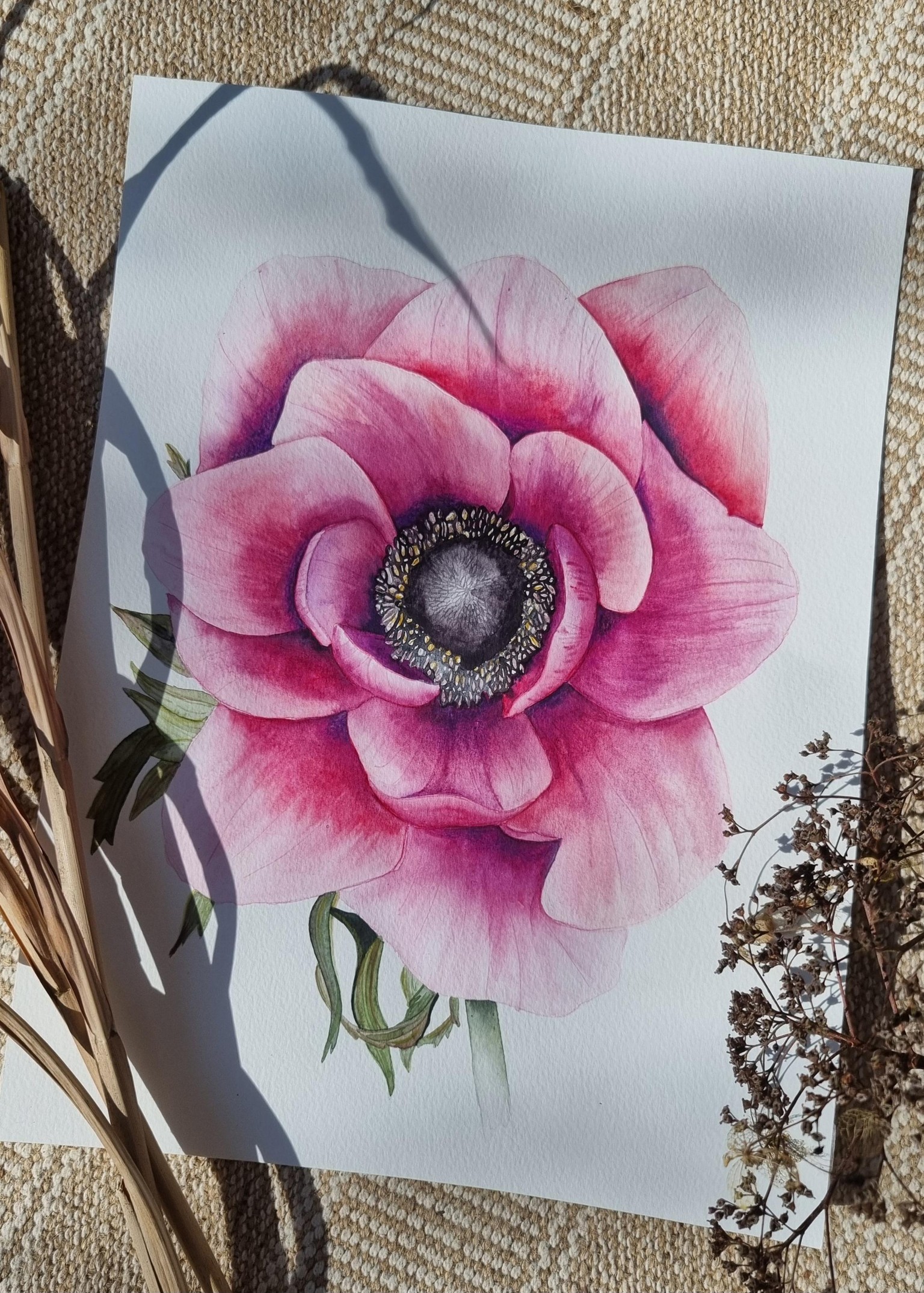 Anemone - image 3 - student project