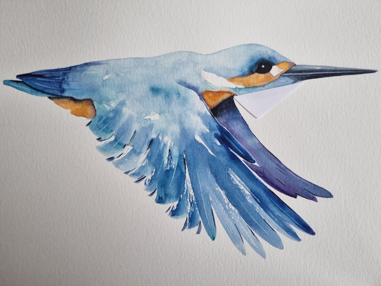 Eisvogel - image 5 - student project