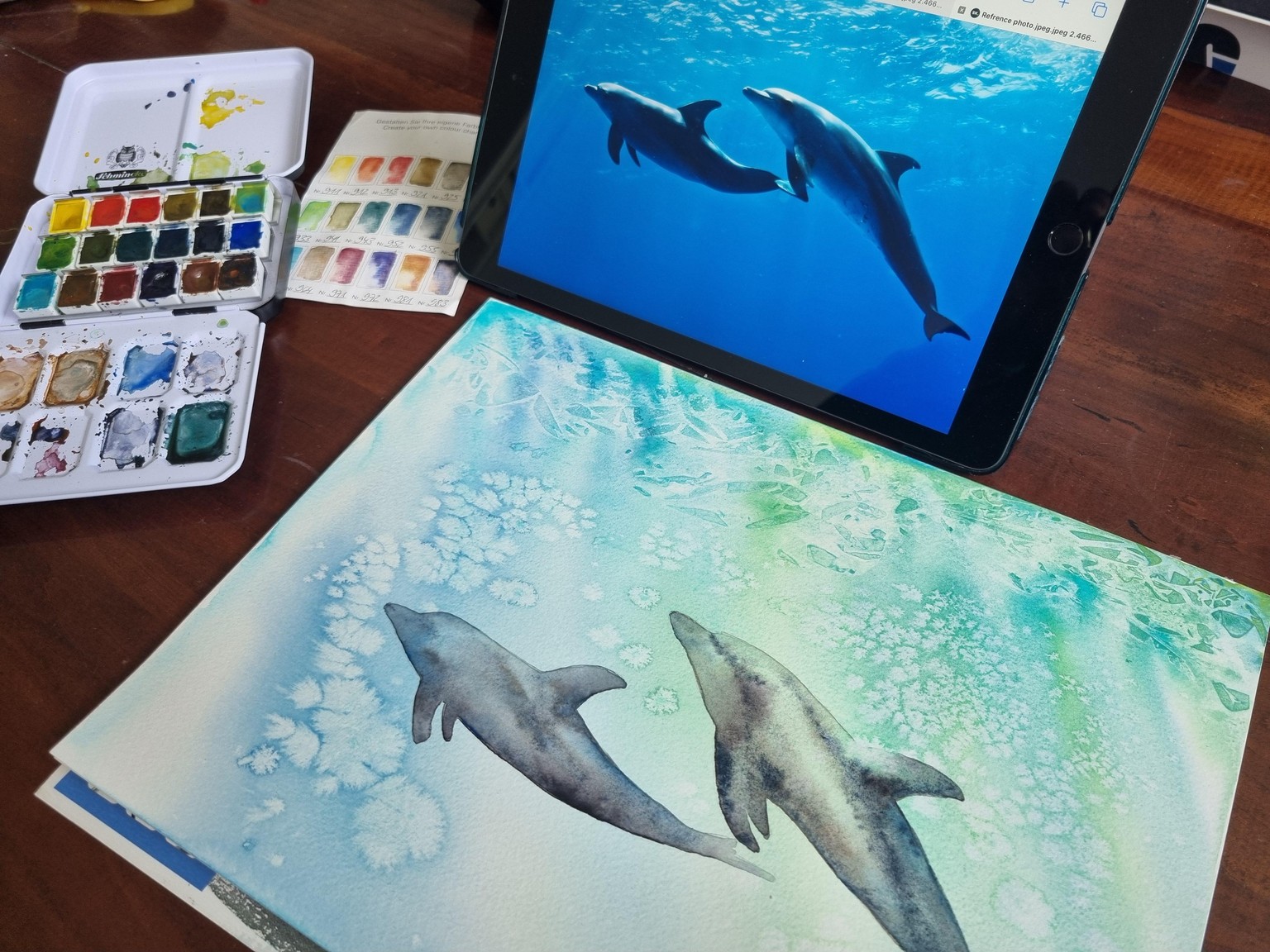 Dolphins - image 3 - student project