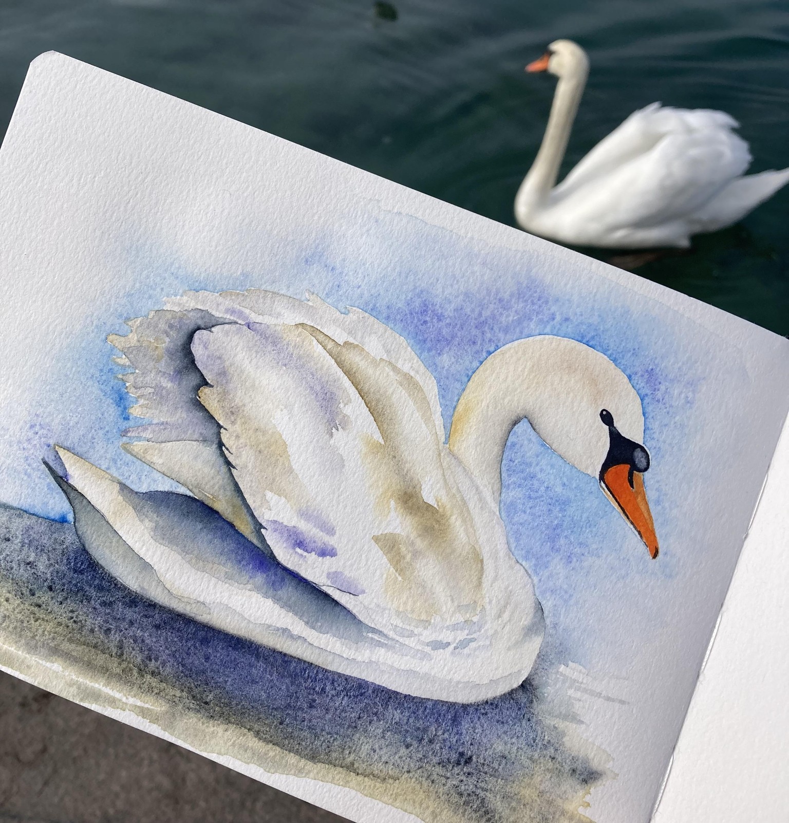 Schwan - image 2 - student project