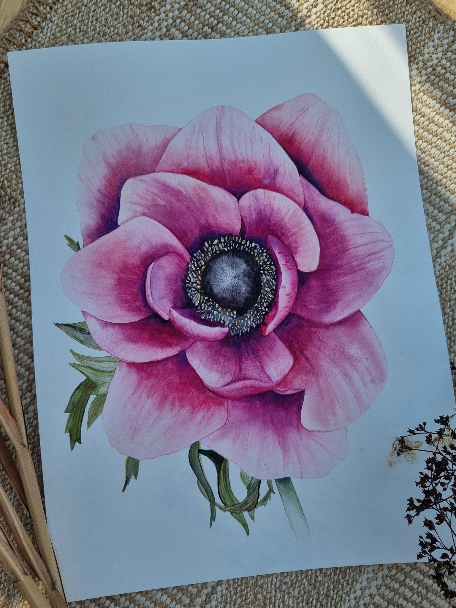 Anemone - image 1 - student project
