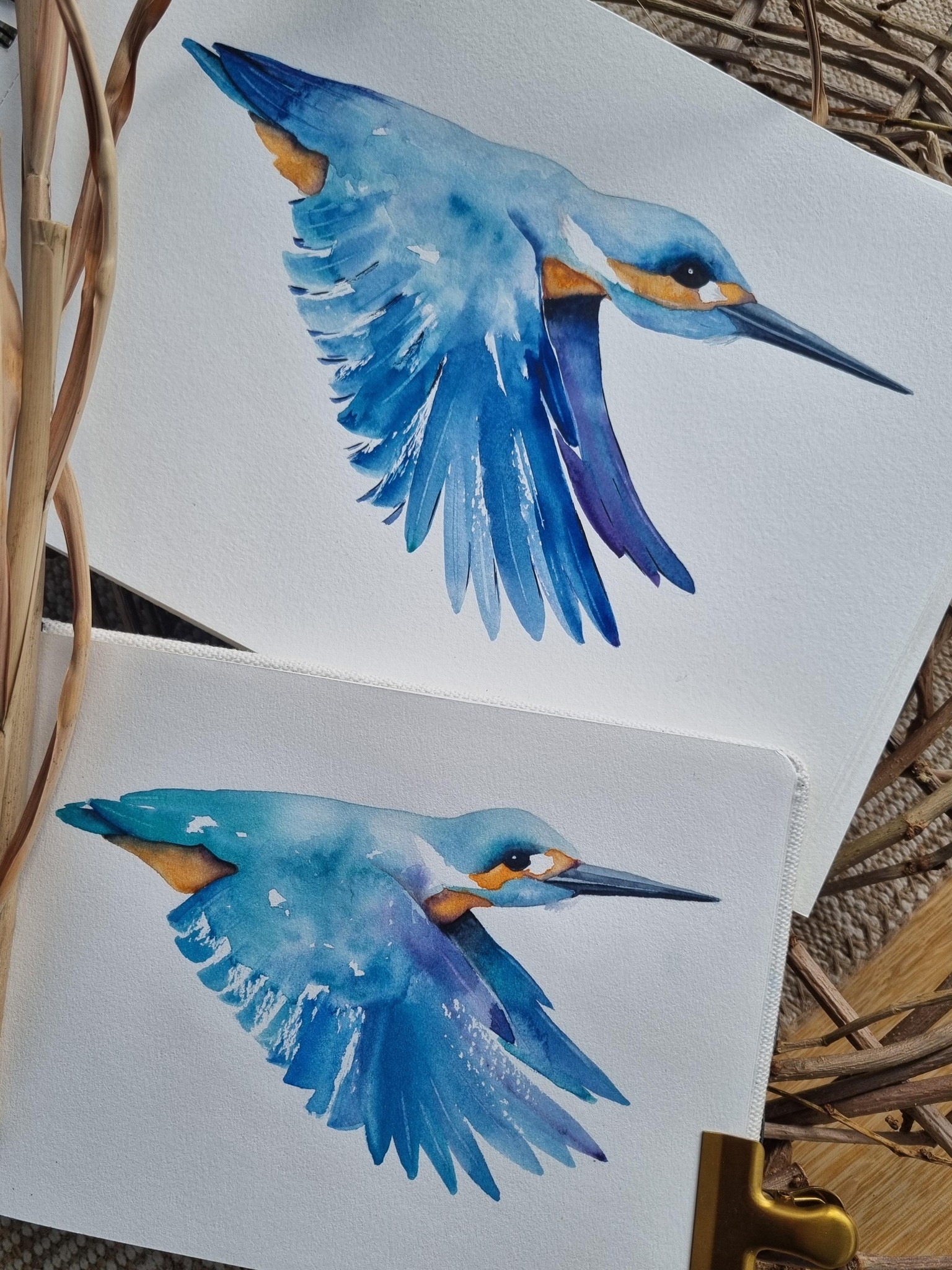 Eisvogel - image 3 - student project