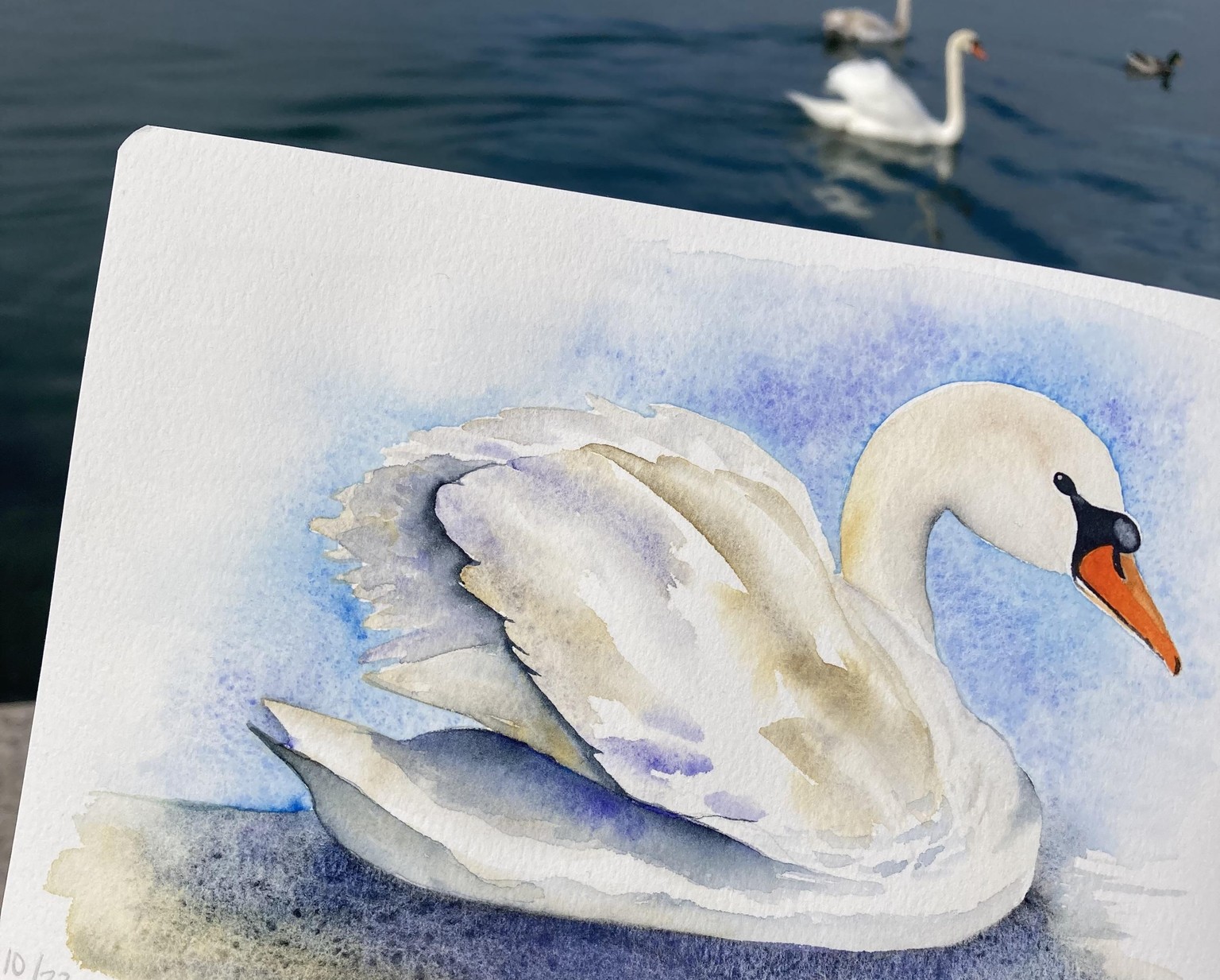 Schwan - image 1 - student project