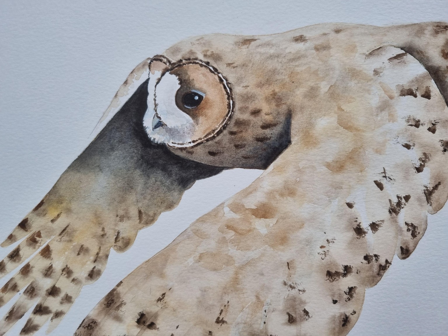 Fliegende Eule - image 2 - student project