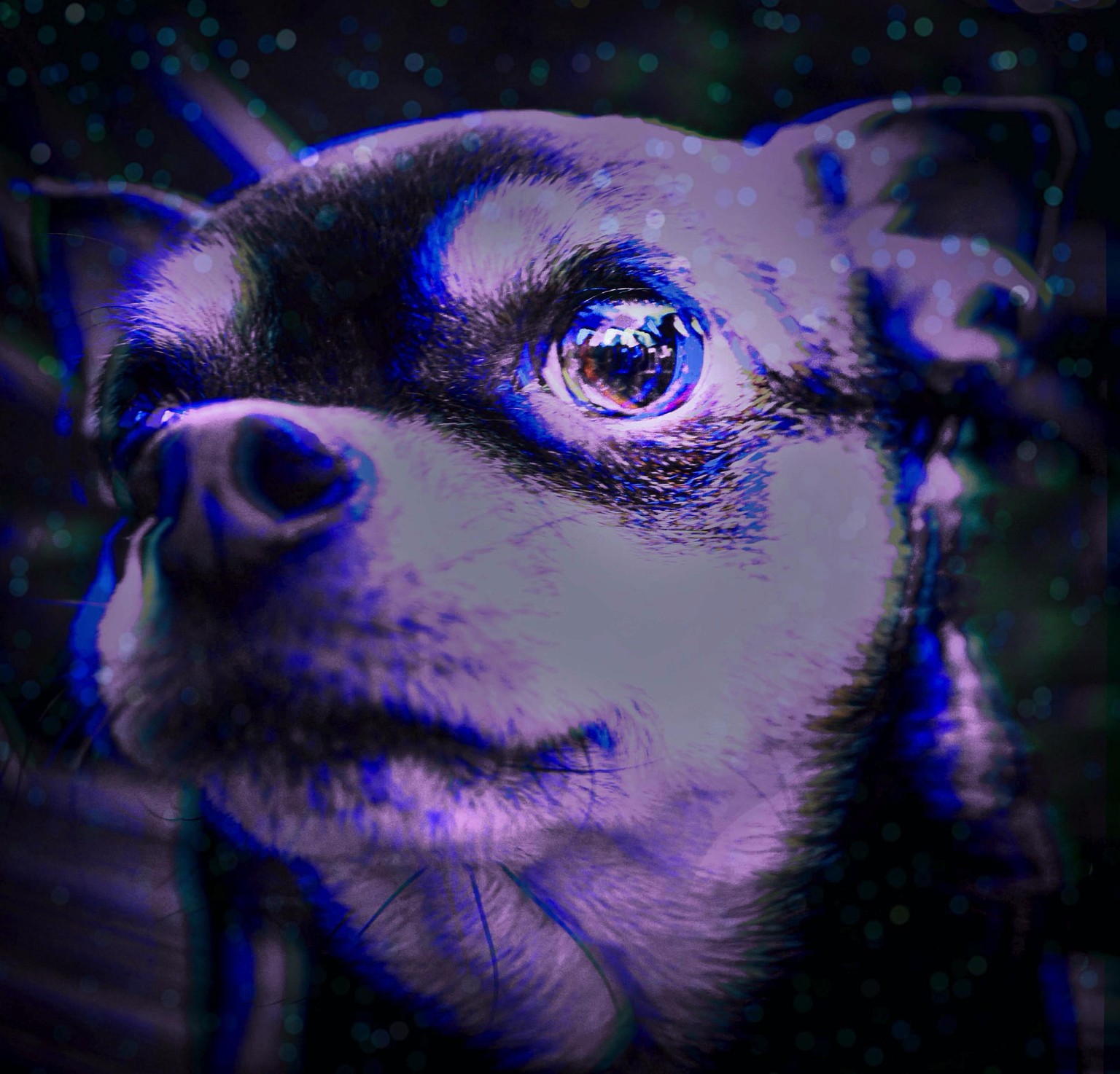 Glitch in the Matrix - image 1 - student project