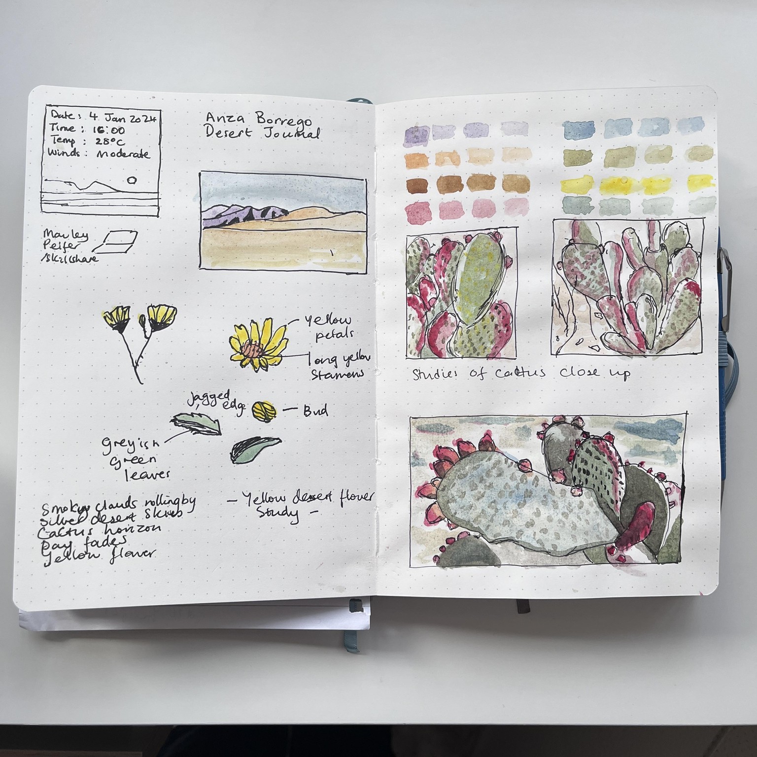Virtual Desert Journaling - image 1 - student project
