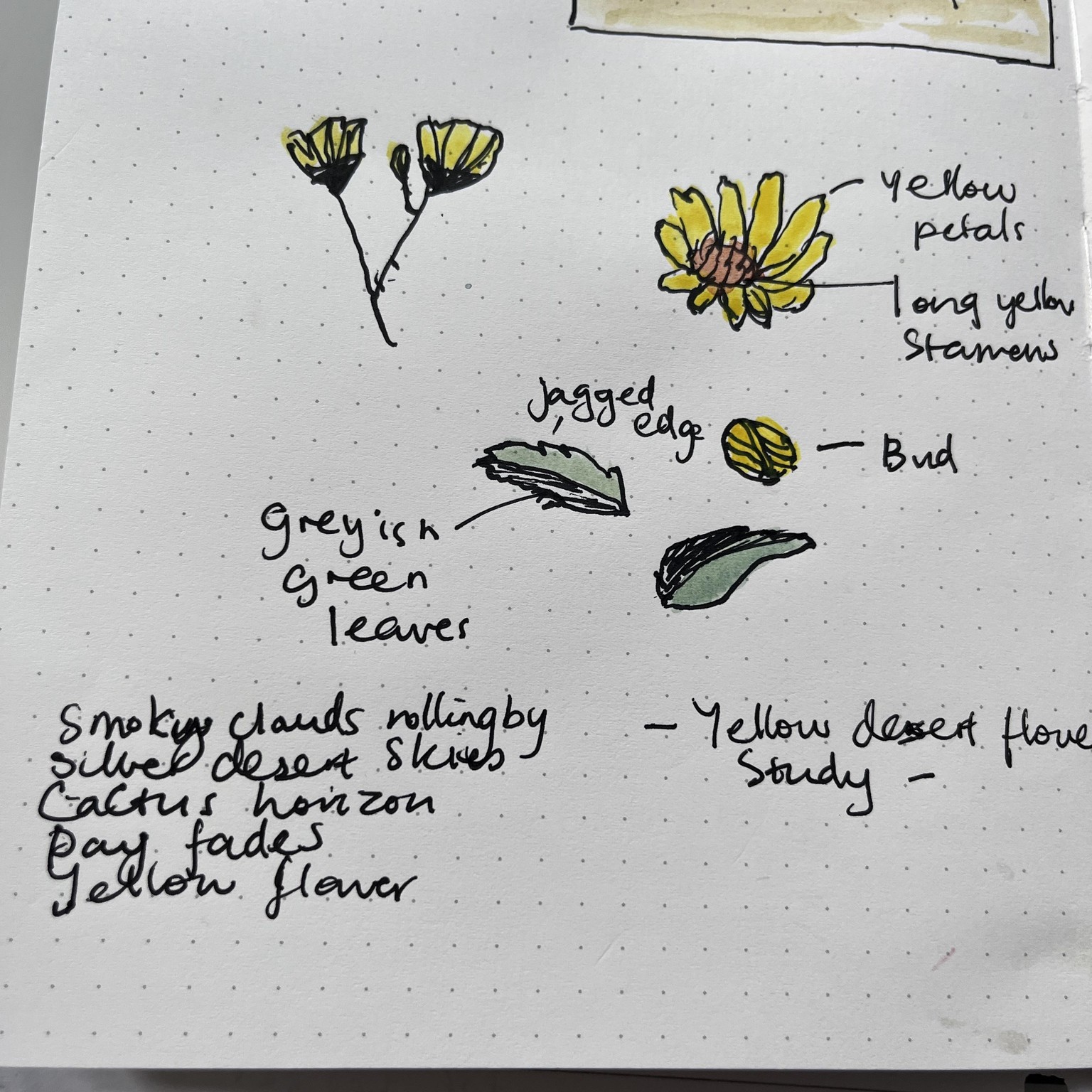Virtual Desert Journaling - image 2 - student project