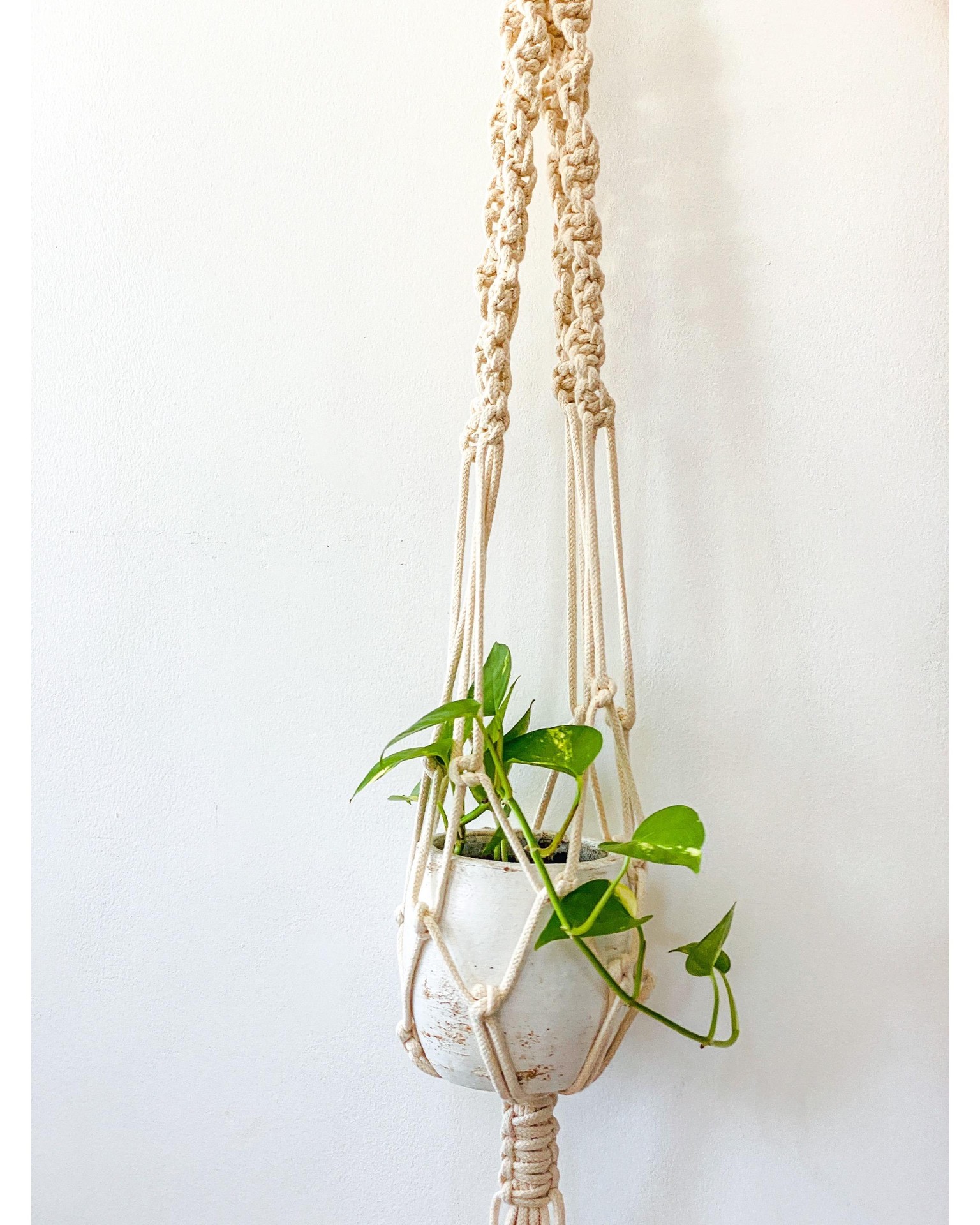 Macramé Plant Hanger - image 1 - student project
