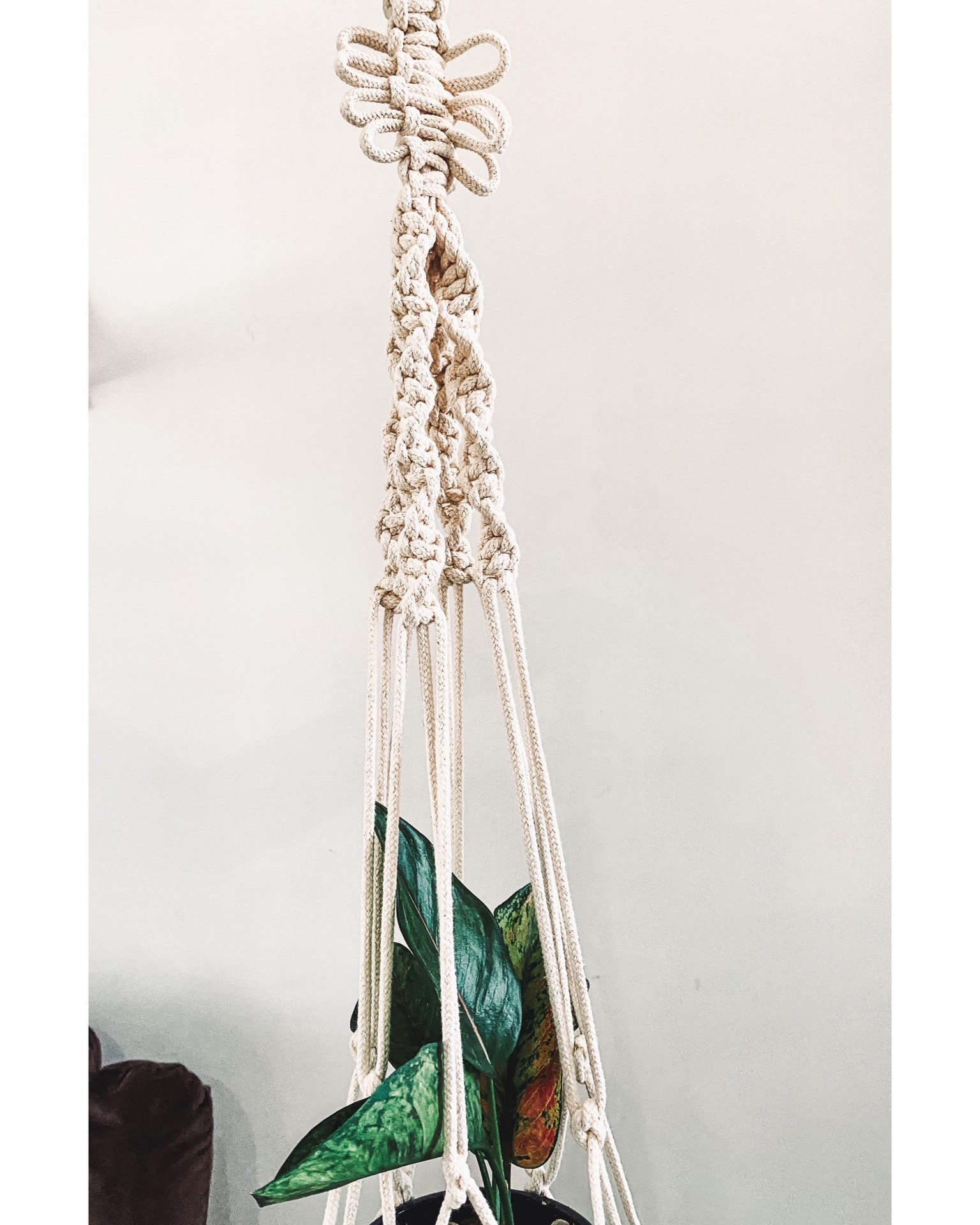 Macramé Plant Hanger - image 3 - student project