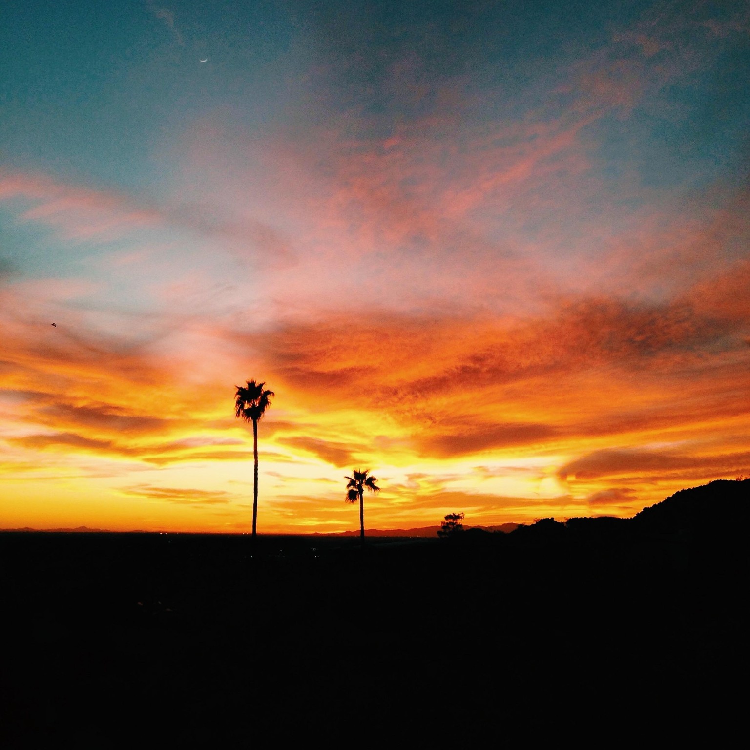 Phoenix Sunset - image 1 - student project