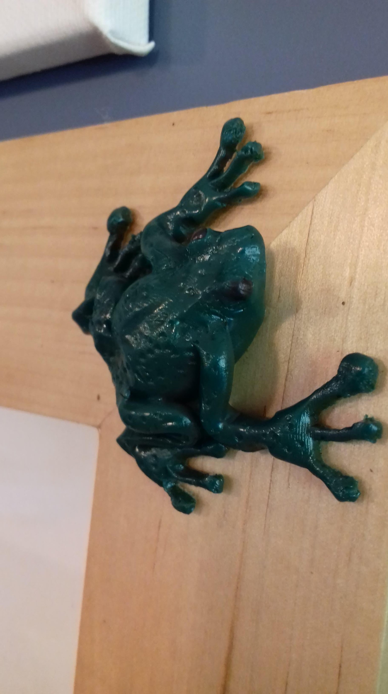 Frog - image 1 - student project