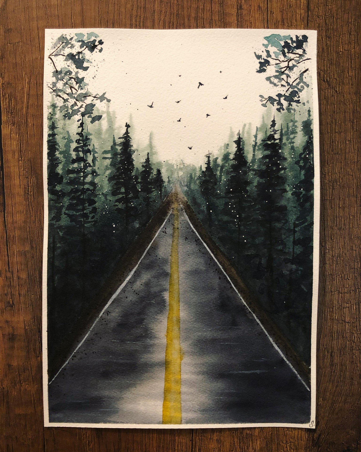 rainy road through pine trees - image 1 - student project