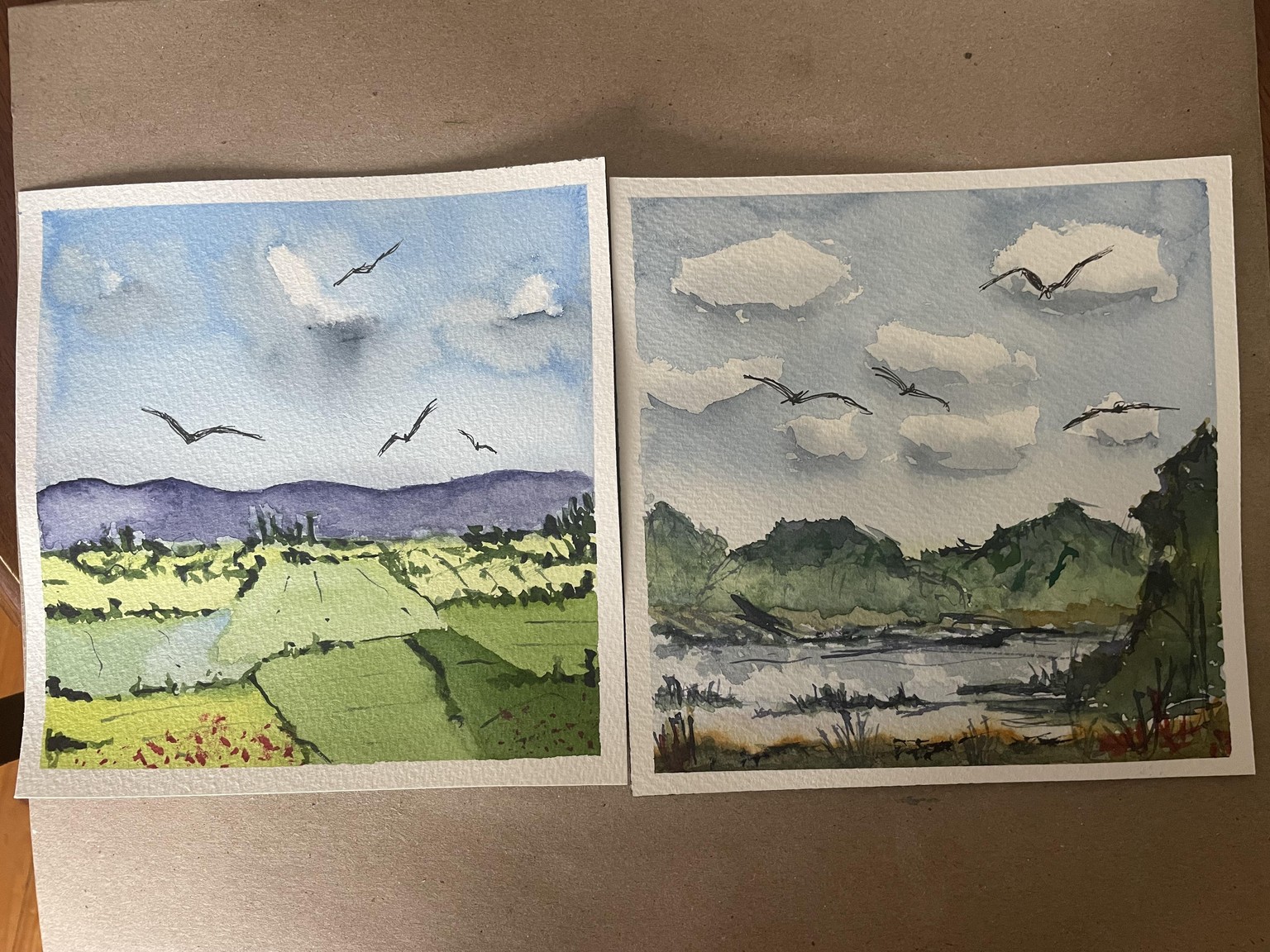 First landscapes - image 1 - student project