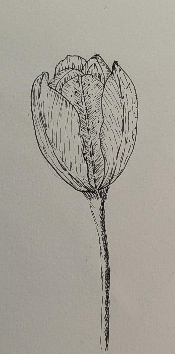 Sketches - image 1 - student project