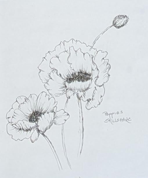 Poppies with Emily - image 1 - student project
