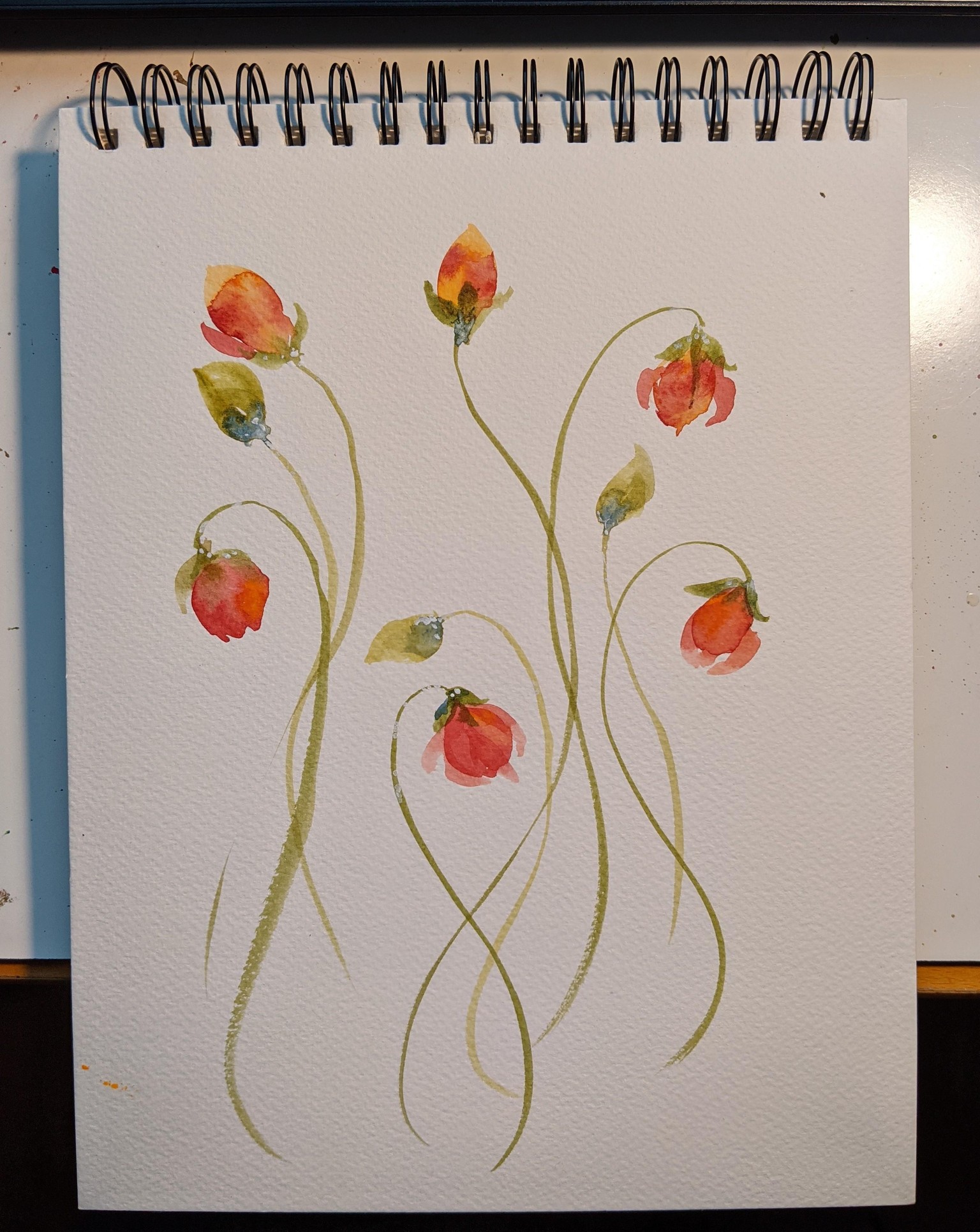 Kellie's poppies - image 4 - student project