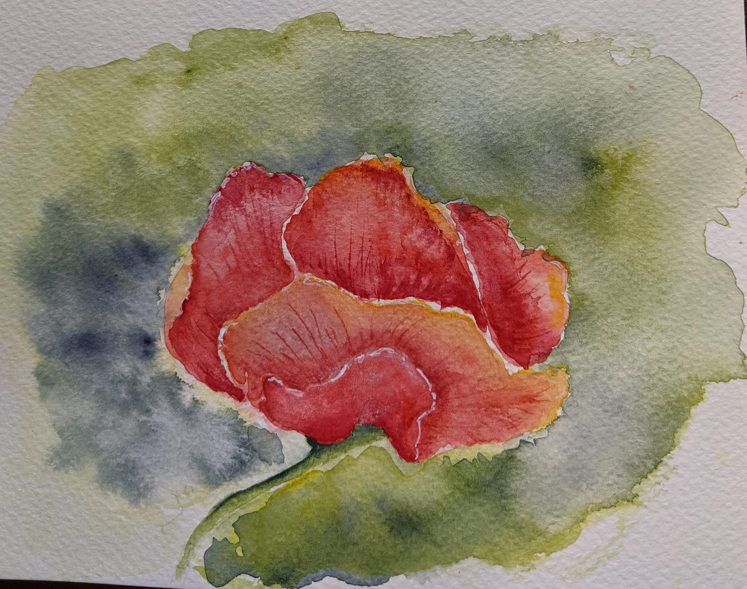 Kellie's poppies - image 1 - student project