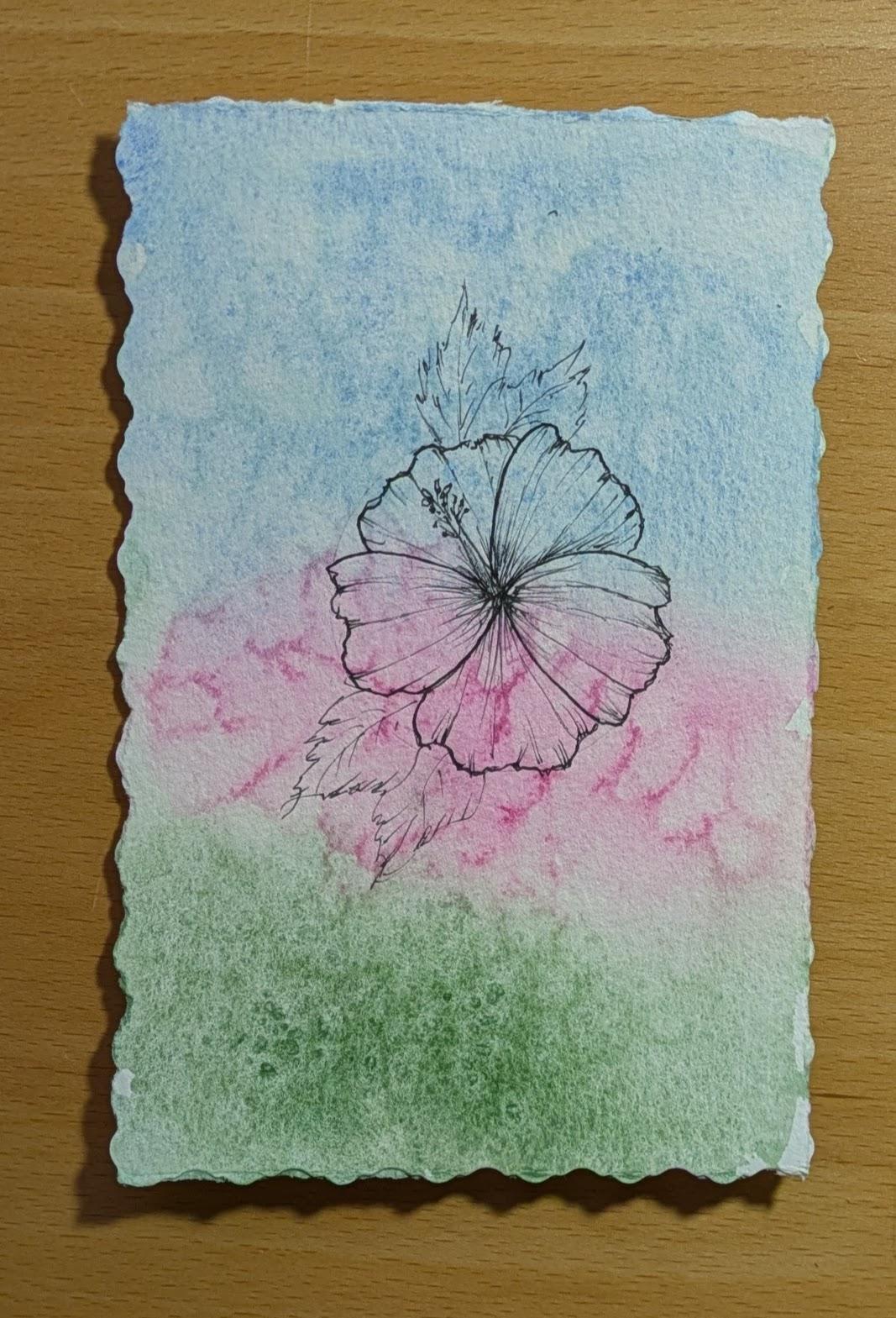 Hibiscus - image 1 - student project