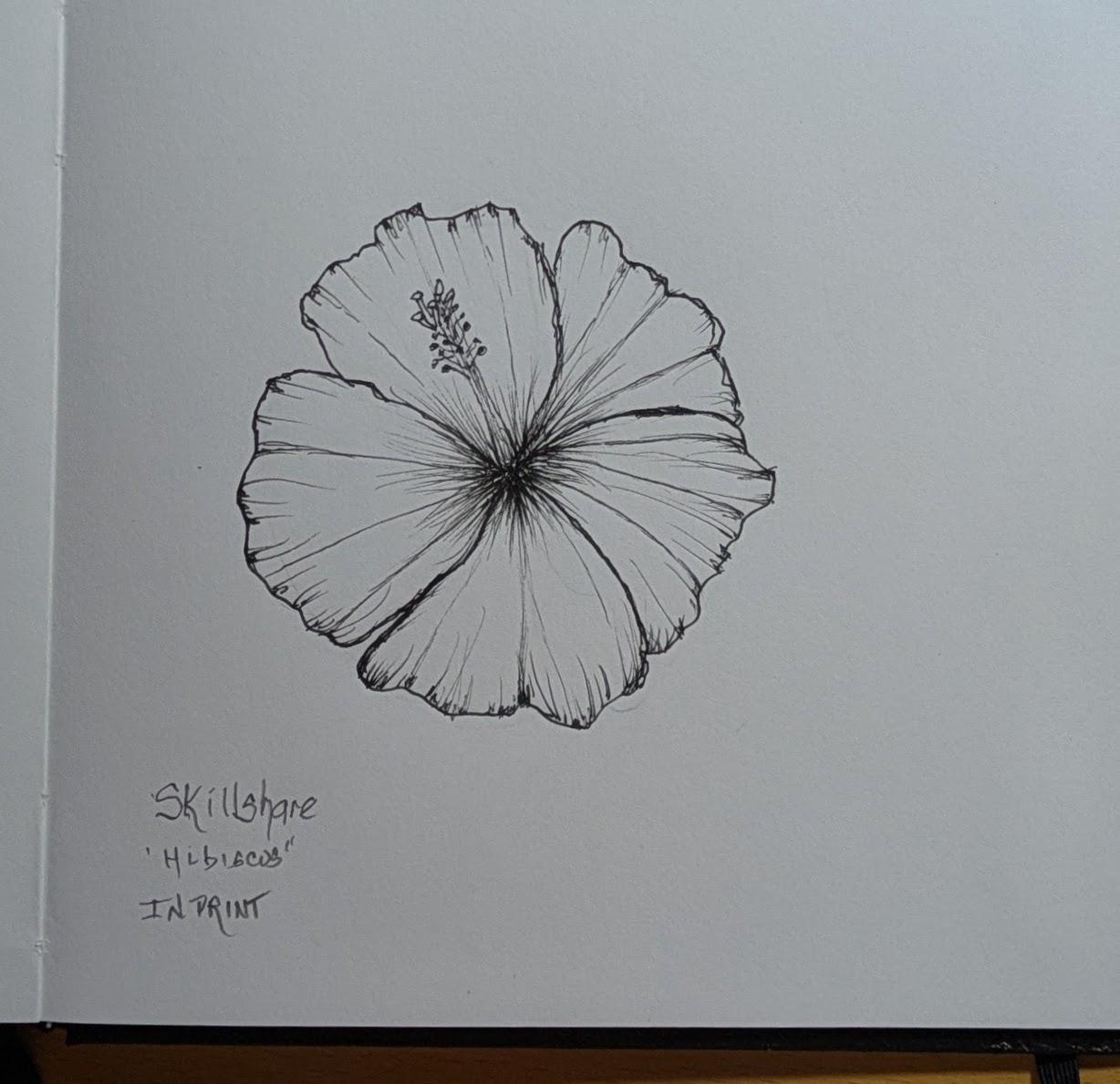 Hibiscus - image 2 - student project