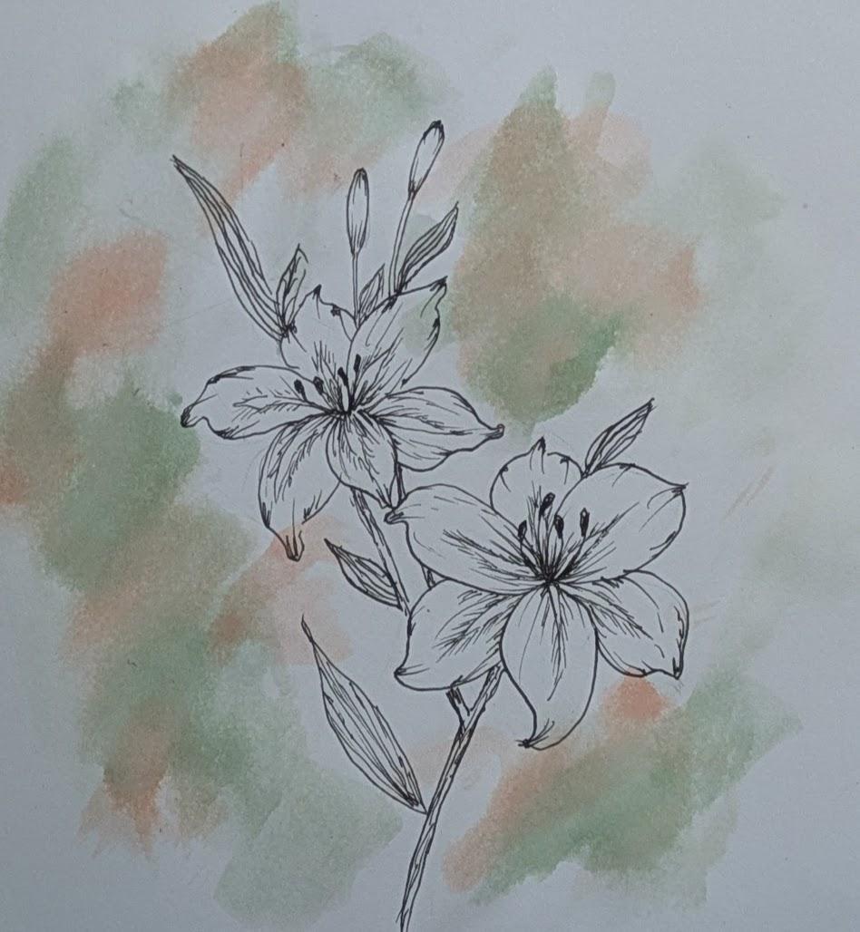 Lilies - image 1 - student project