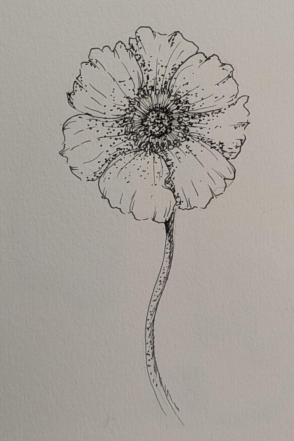 Sketches - image 2 - student project