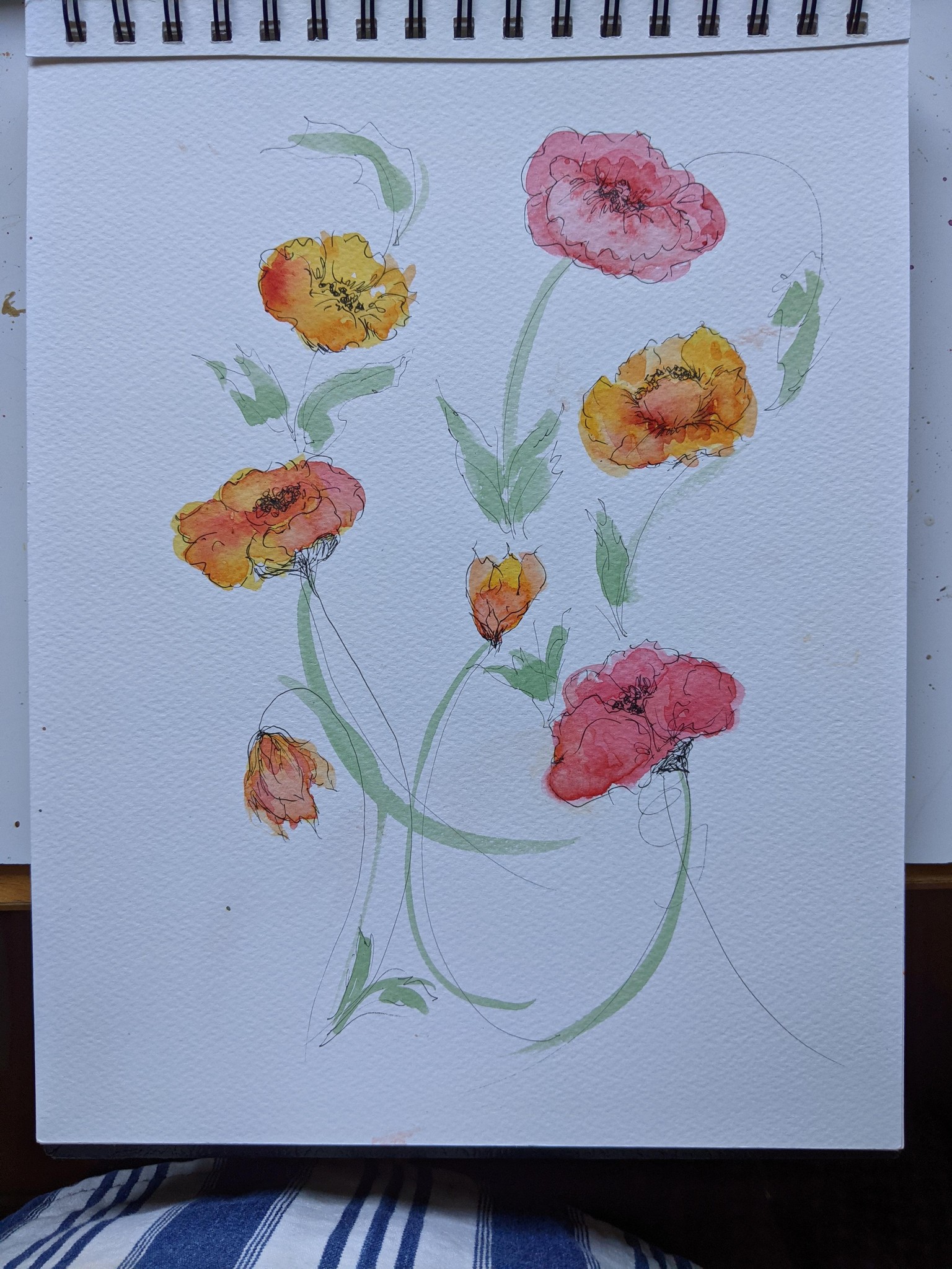 Kellie's poppies - image 3 - student project