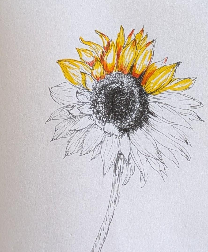 Sketching with Phuong - image 3 - student project