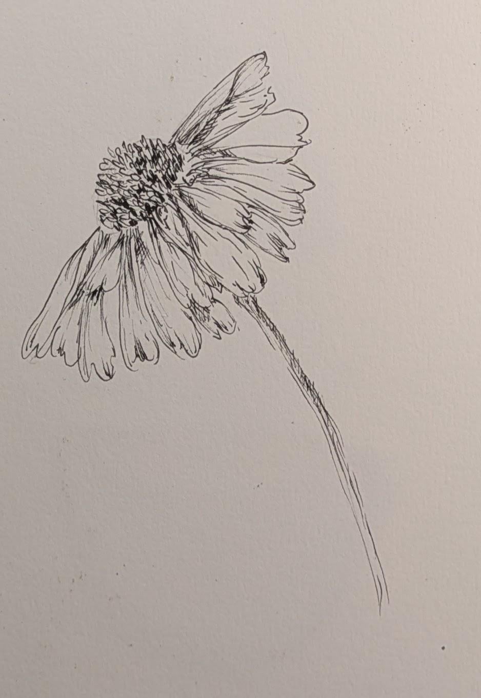 Sketches - image 3 - student project