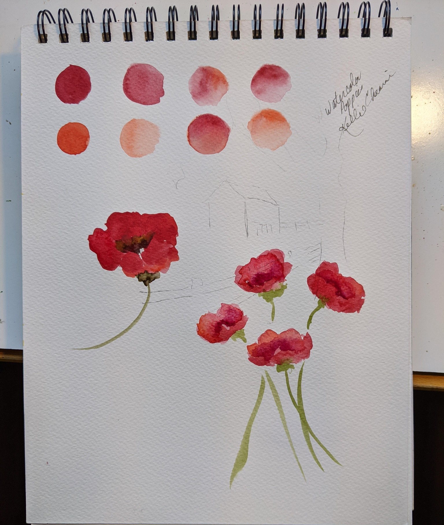 Kellie's poppies - image 5 - student project