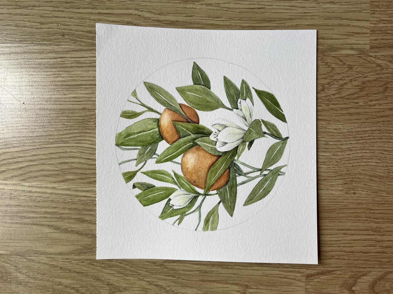 Two oranges - image 1 - student project