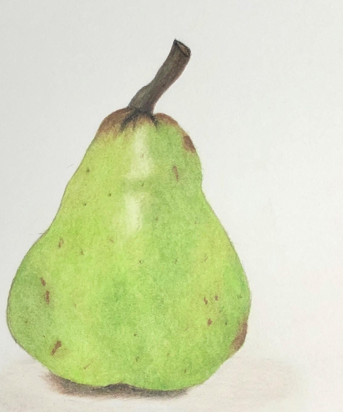 Pear - image 1 - student project