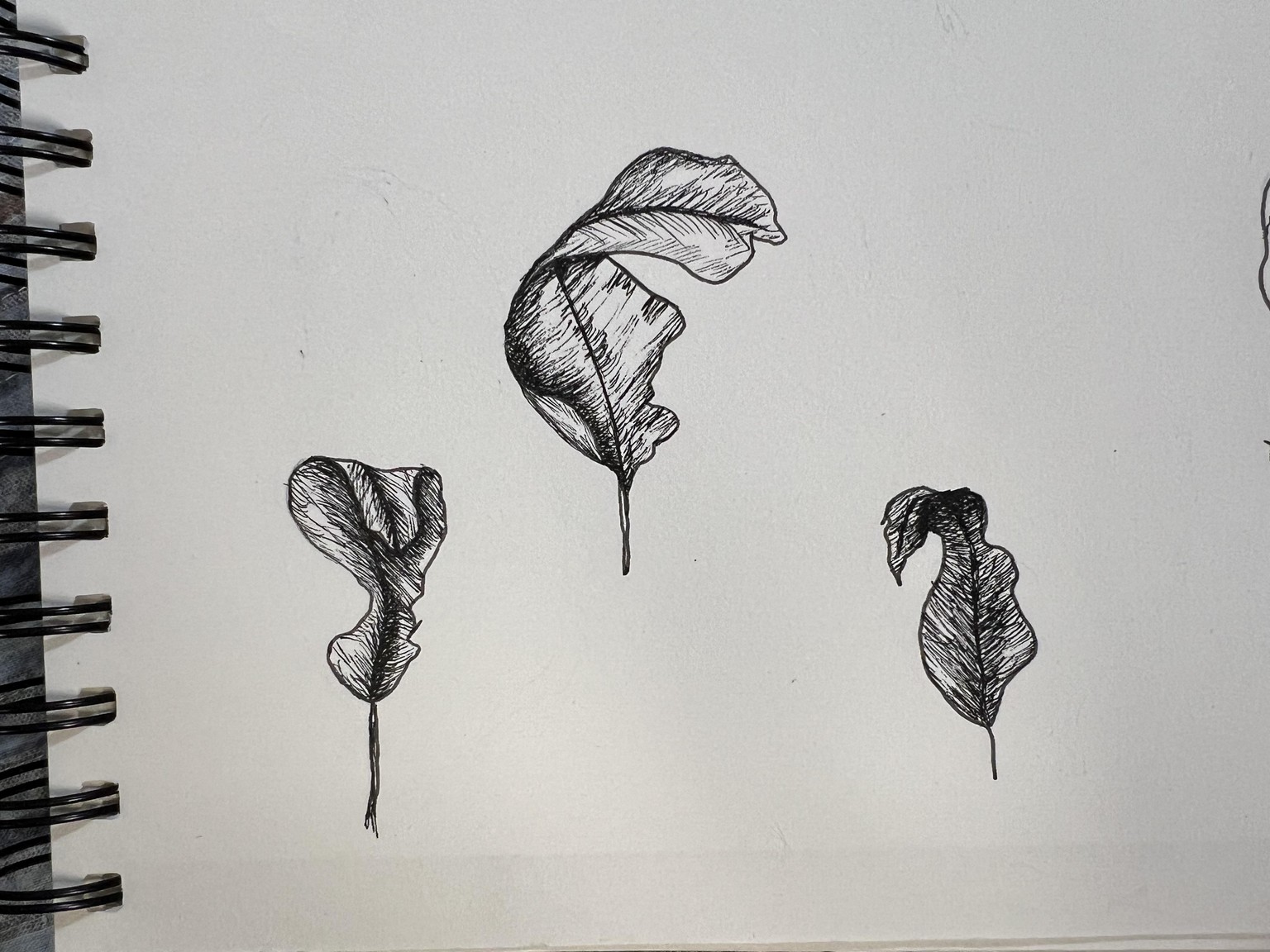 Leaves - image 1 - student project