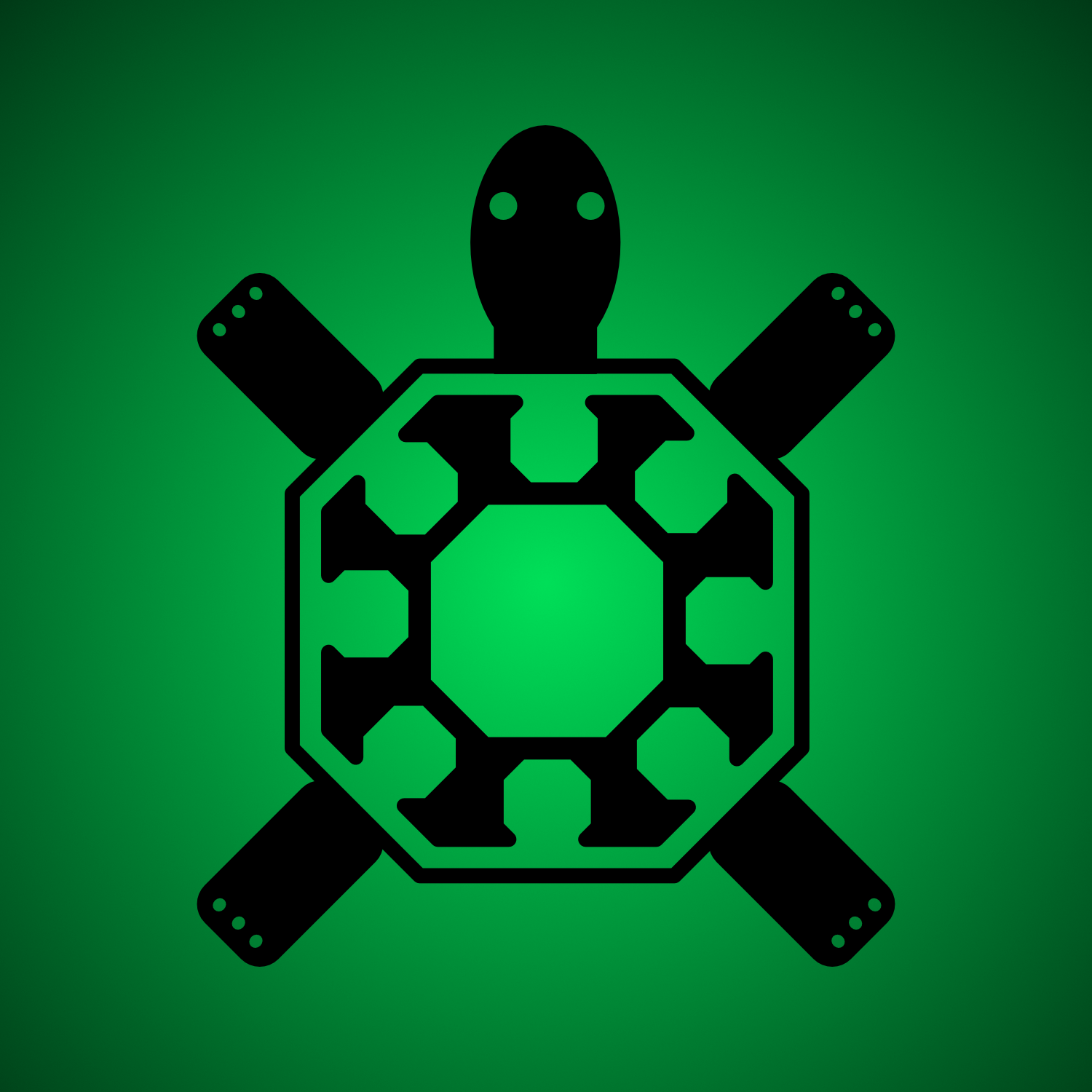 Turtle - image 1 - student project