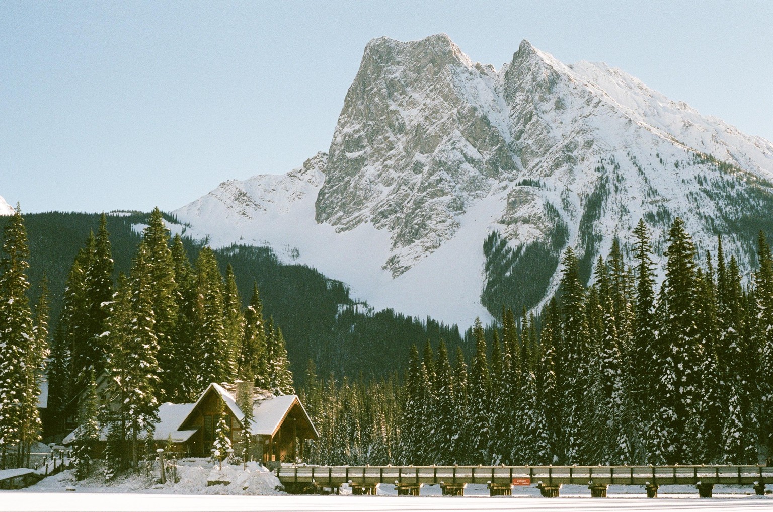 Camera: Pentax K1000 (50mm), Film: Fujisuperia 400-no edits - image 3 - student project